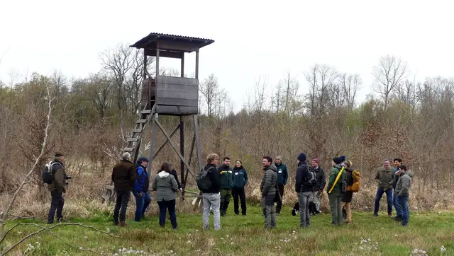 Teilnehmerder Exkursion im Austausch vor Ort – unter anderem ging es darum, wie junge Eichen im Wald von Schutterwald nachwachsen und wie der Wildbestand dabei eine Rolle spielt. | Foto: Ortenaukreis