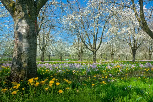 bei Oberkirch-Stadelhofen