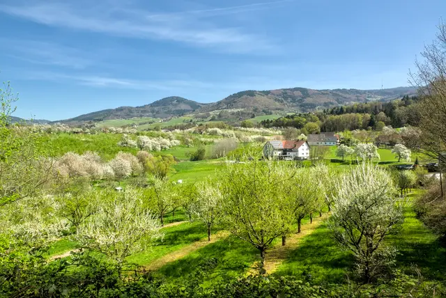 Oberachern - Illental