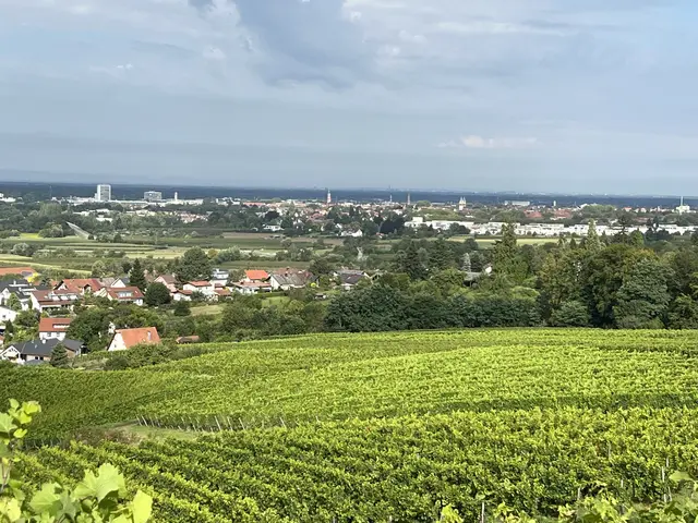Der Wirtschaftsstandort Südwesten, das Bild zeigt einen Blick aus dem Rebland in die Rheinebene, wird von den Untenehmen als gut bewertet, aber es gibt Schwachstellen. | Foto: Foto: gro