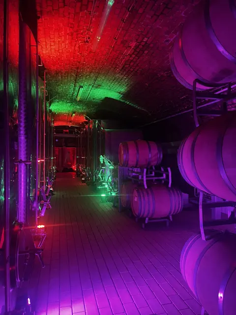 Der Weinkeller wird in ein ganz besonderes Licht getaucht. | Foto: Winzergenossenschaft Rammersweier