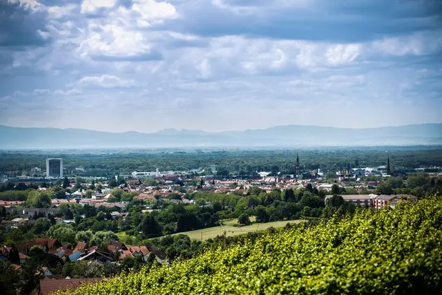 Zwischen Wald und Reben lebt es sich offensichtlich gut – ein Grund für die steigende Einwohnerzahl. | Foto: Stadt Offenburg