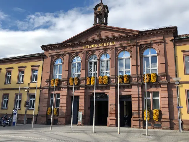 Im Eingangsbereich der Luisenschule wurden zwei Kameras installiert.  | Foto: Archivfoto: ds