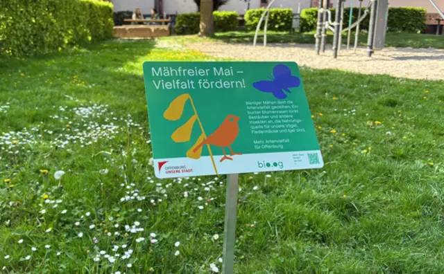Zum dritten Mal ist die Stadt Offenburg mit ausgewählten Grünflächen beim mähfreien Mai dabei. | Foto: Birk/Stadt Offenburg