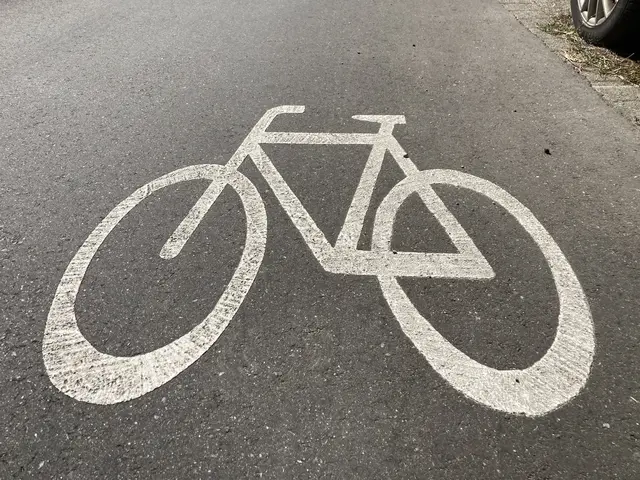 Das Land vergibt Fördermittel in den Wahlkreis Offenburg für den Ausbau von Radwegen. | Foto: gro