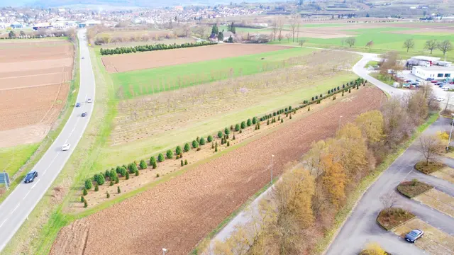 Im Juli 2026 sollen die Erschließungsarbeiten beginnen.  | Foto: Stadt Ettenheim