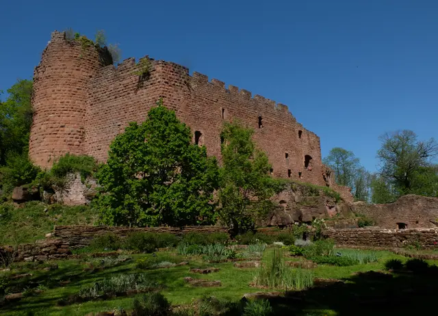Die Burg Lützelburg wurde im 11./12. Jahrhundert errichtet und sie befindet sich nahe der Burg Rathsamhausen. Sie besteht aus einer fünfeckigen, sogenannten Mantelmauer mit einem runden Bergfried.  Im 14. Jahrhundert wurde sie während des englisch-französischen Krieges zerstört, danach aufgebaut und im Dreißigjährigen Krieg erneut zum Opfer gefallen.
 | Foto: Alfred Schramm