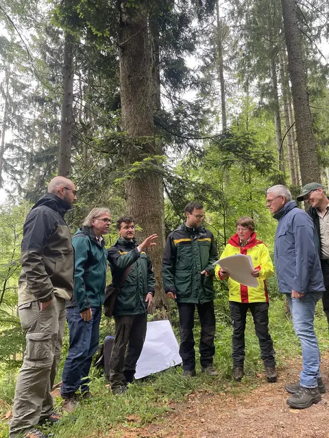 Den Wald im Blick (von links): Michael Großer, Carsten Gabbert, Lukas Ruf, Simeon Wiegert, Yvonne Bierer,  Uwe Gaiser und Arno Mattes | Foto: Regierungspräsidium Freiburg