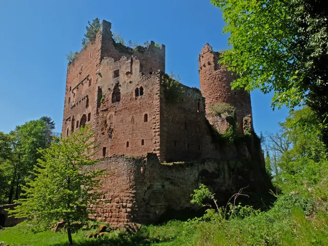Die Burg Rathsamhausen wurde Anfang des 12. Jahrhunderts erbaut und war im Besitz mehrerer Adelsfamilien.
Sie bestand aus einem viergeschossigen Wohnturm (franz. Donjon), der 18 Meter hoch war. Die Mauerstärke betrug 1,8 Meter. Weiterhin hatte die Burg einen runden Bergfried, Nebengebäude, eine Ringmauer und einen sogenannten Zwinger.   | Foto: Alfred Schramm