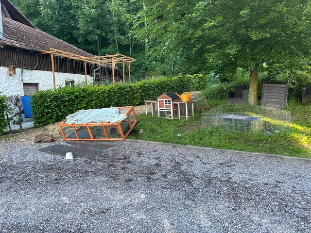 Die sechs toten Meerschweinchen wurden innerhalb und außerhalb ihres beschädigten Geheges im Garten der Eigentümerin aufgefunden.  | Foto: Polizeipräsidium Offenburg
