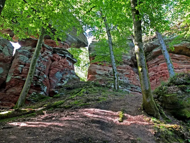 Einfach fantastisch, was die Natur geschaffen hat. | Foto: Alfred Schramm
