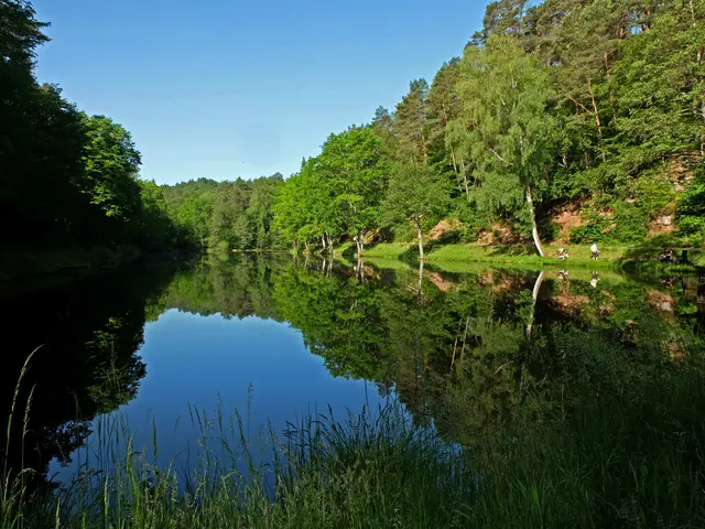 Der Stüdenbachweiher. Bei ihm gibt es die erste Parkmöglichkeit. Bei ihm und beim Spießbachweiher bieten sich einige Fotohalte an. | Foto: Alfred Schramm