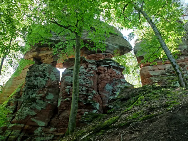 Aufgesetzt. Was da im Laufe der Millionen von Jahre die Natur geformt hat, ist einfach fantastisch. | Foto: Alfred Schramm