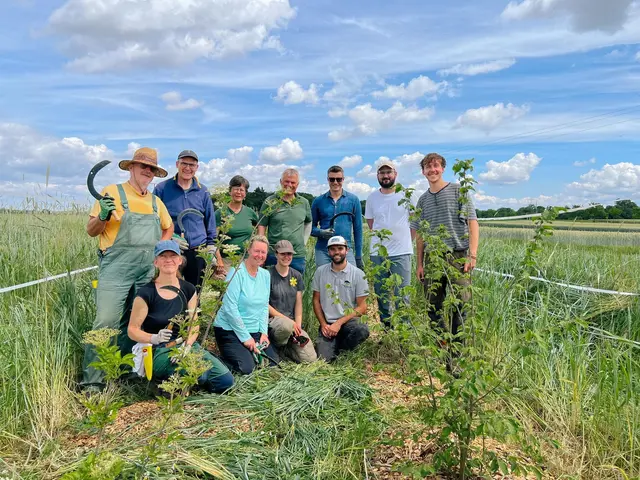 16 Freiwillige aus ganz Deutschland haben im Rahmen des Bergwaldprojekts eine Woche lang auf mehreren Agroforst-Modellbetrieben des Naturparks Schwarzwald Mitte/Nord bei der Pflege der Agroforst-Systeme mitgeholfen. | Foto: Gundi Woll/Naturpark Schwarzwald Mitte/Nord