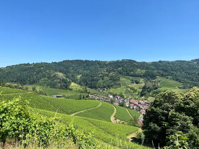 Nach dem doch etwas steilen Aufstieg werden die Wanderer mit einem tollen Ausblick belohnt. | Foto: ag