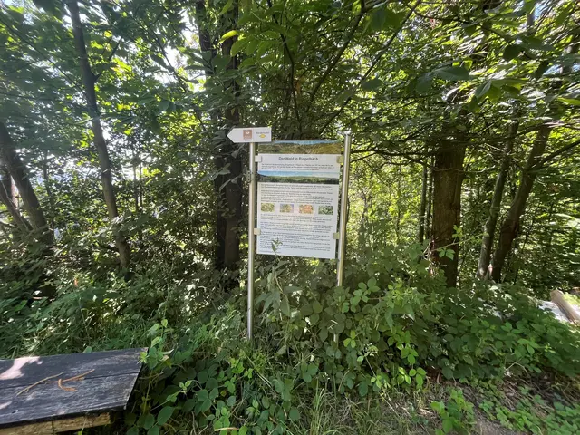 Interessante Informationen zum Thema Wald | Foto: ag