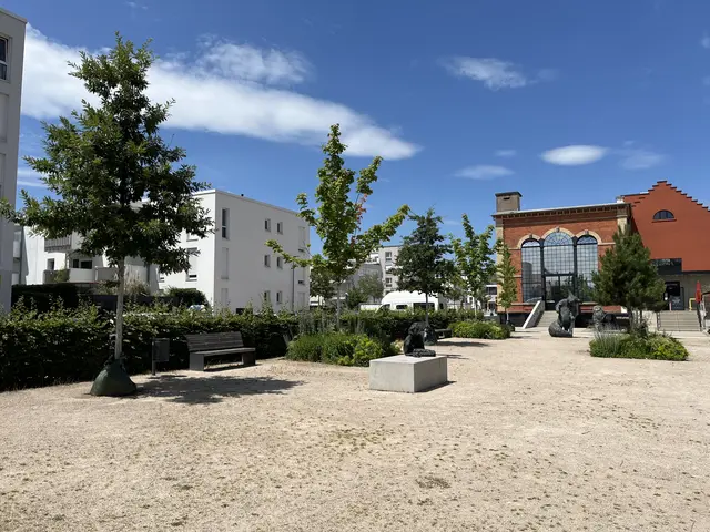 Die Zahl der versiegelten Flächen hat in Offenburg zugenommen. Die Bäume im Mühlbachquartier sind noch zu klein, um wirksam gegen Hitze anzukommen. | Foto: gro