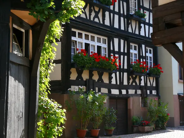 Eine von vielen Fachwerkfassaden, die liebevoll mit Geranien verziert sind. | Foto: Alfred Schramm
