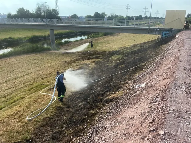 Eine rund 100 Quadratmeter große Wiese brannte am Offenburger Kinzigdamm. | Foto: Feuerwehr Offenburg