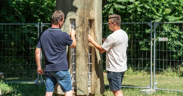 Die Sanierung des Weißtannenturms in Kehl ist gestartet. | Foto: Stadt Kehl/Annette Lipowsky