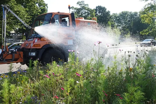 Um den fehlenden Regen auszugleichen, werden die Kehler Grünanlagen regelmäßig gegegossen. | Foto: Stadt Kehl
