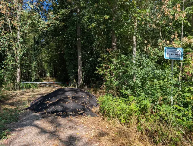 Unbekannte haben Asphalt auf einem Waldweg bei Kürzell entsorgt. | Foto: Polizei Offenburg