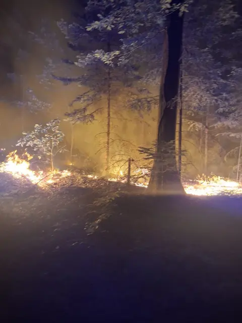 Waldbrand in der Wolfslache am Sonntag | Foto: Stadt Gengenbach
