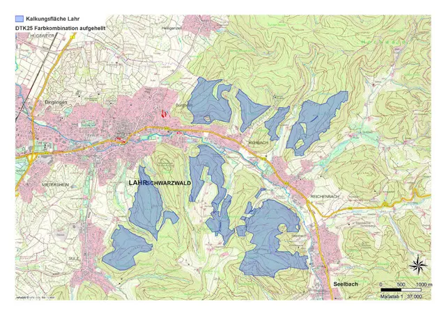 Auf den blau eingezeichneten Flächen wird Kalk ausgebracht. | Foto: Stadt Lahr