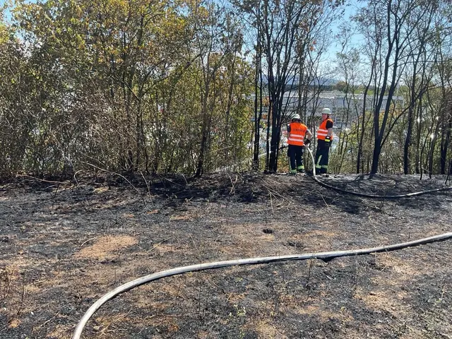 Einsatzkräfte der Feuerwehr Offenburg bei Nachlöscharbeiten | Foto: Feuerwehr Offenburg