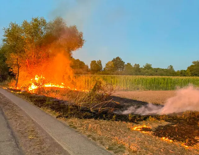 Foto: Esther Busch/EinsatzReport24 