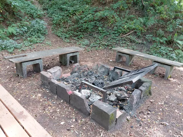 Vandalismus an der Grillstelle am Gieseneckbrunnen | Foto: Stadt Lahr