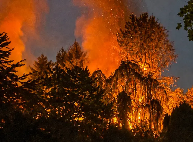 Rund 600 Quadratmeter Vegetationsfläche wurden zerstört.  | Foto: Nevio Zipsin/EinsatzReport24 