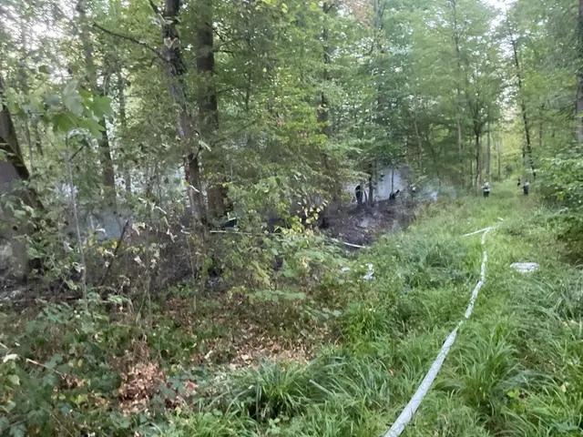 Der Brand wütete abseits der befahrbaren Wege des Stadtwaldes. | Foto: Feuerwehr Offenburg