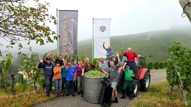 Die Durbacher Winzer sind am Mittwoch in die Weinlese gestartet. | Foto: Durbacher Winzer eG