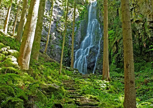 Der Burgbachwasserfall ist von Felsen umgeben und befindet sich bei Bad Rippoldsau-Schapbach. Er ist mit einer Gesamthöhe von 32 Metern einer der höchsten freifallenden Wasserfälle in Deutschland. Sein Wasser stürzt an der Hauptstufe gut 15 Meter komplett frei über eine mächtige Felswand herab.  | Foto: Alfred Schramm