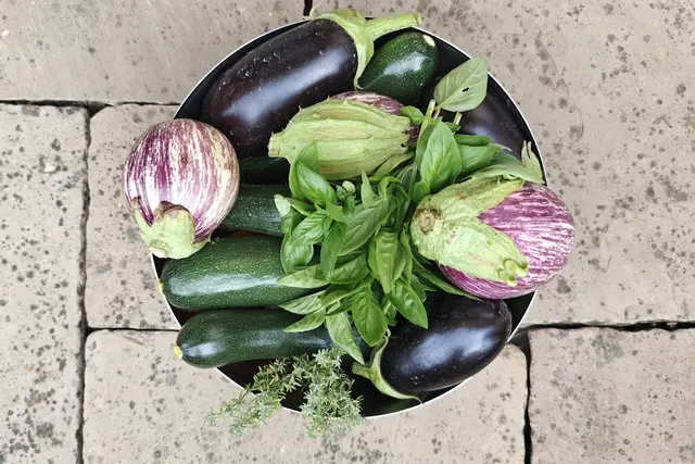 Gemüse frisch aus dem Garten | Foto: privat