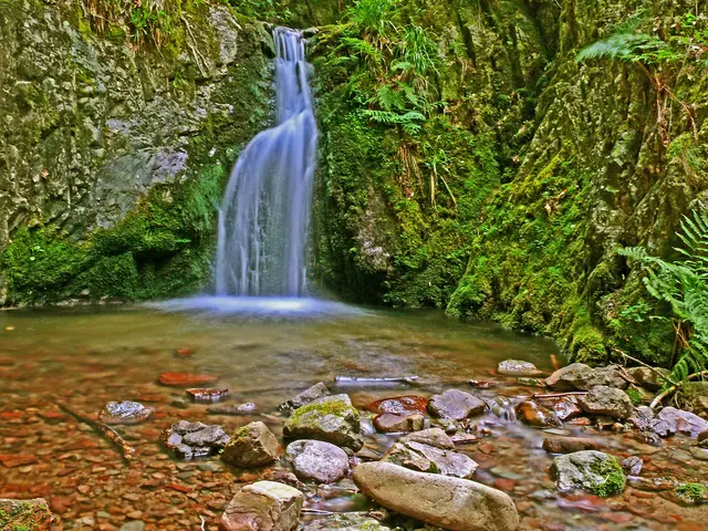 Die Edelfrauengrab-Wasserfälle bei Ottenhöfen befinden sich in einer Schlucht, durch die der Gottschlägbach über mehrere 3 bis 8 Meter hohe Fallstufen hinab ins Tal nach Ottenhöfen fließt.
Hier sieht man die oberste Kaskade, die als "Deglerbad" bezeichnet wird.  
An dieser Stelle öffnet sich die enge Schlucht des Gottschlägtals. | Foto: Alfred Schramm