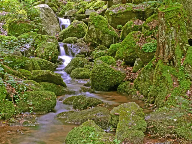 Der Bachlauf über viele kleine Stufen ist von einem Felsenmeer umgeben. Die Schlucht ist ein idealer Fotospot. 
Sehenswert ist auch die nahe beim oberen Einstieg (Bergstraße) befindliche Friedenskapelle "Sankt Katharina."   Von ihrem Standpunkt aus hat man einen wunderbaren Blick bis zu den Nordvogesen hinüber.  | Foto: Alfred Schramm