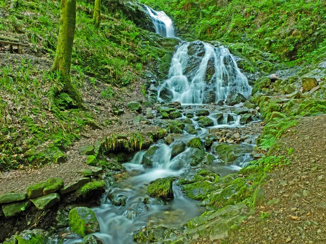 Der Holchenwasserfall liegt in einem Seitental des Renchtals direkt an bekannten Wanderrouten, wie dem Premiumwanderweg Himmelssteig und befindet sich nicht weit von Bad Peterstal-Griesbach entfernt.  Das Wasser stürzt zwei Stufen rund 6 Meter in die Tiefe.  | Foto: Alfred Schramm