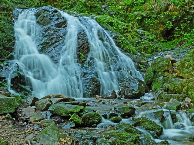 Der Wasserfall liegt mitten in einem dichten Waldgebiet und ist gut zu Fuß erreichbar.  
Himweis: Was das Parken betrifft da gibt es vor dem Wasserfall eine sehr kleine Parkmöglichkeit (gem. Google 5 Pkw) der schnell belegt ist. Am besten man benützt den offiziellen Parkplatz  am Freibad in Bad Peterstal.  | Foto: Alfred Schramm