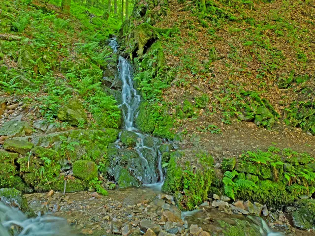 Rechts vom Holchenwasserfall befindet sich dieser noch wachsende Wasserfall.  | Foto: Alfred Schramm