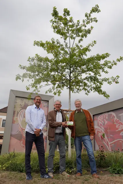 Fabian Roßmanith (v. l.), Dr. Wolfgang G. Müller und Claus Vollmer präsentieren das erste „Bürger Baum“-Schild an der Eiche auf dem Kreisel an der Gärtner-/Turmstraße. | Foto: Stadt Lahr