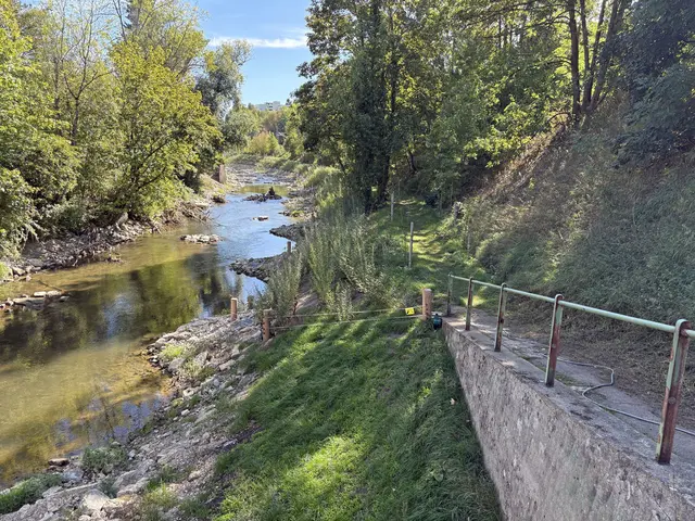 Am renaturierten Neckar kann sich die Kinzig ein Beispiel nehmen.  | Foto: Stadt Rottweil