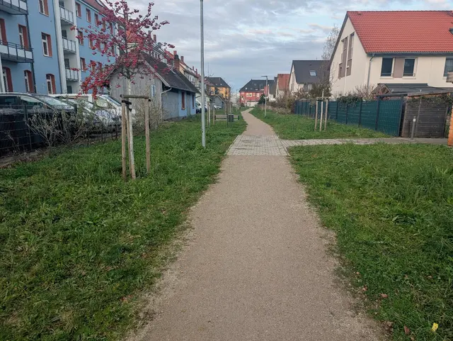 Im Gartenquartier sollen Ersatzhabitate für Mauereidecken entstehen. | Foto: Stadt Offenburg