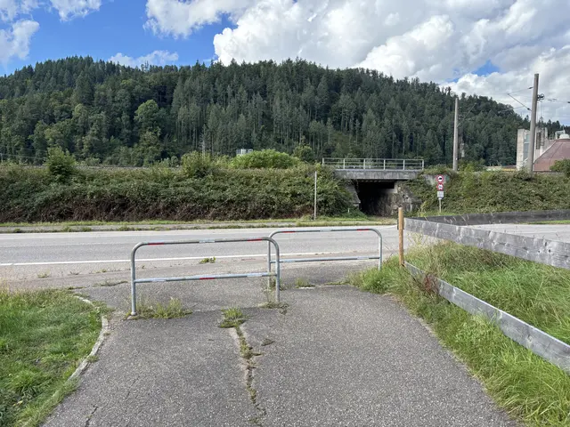 An der B33 in Höhe Hechtsberg soll eine Bedarfsampel die Sicherheit für Fußgänger und Radfahrer erhöhen. | Foto: RP Freiburg