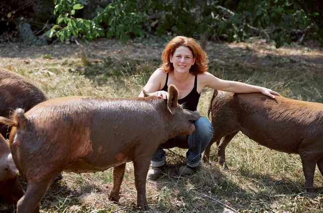 Judith Wohlfahrt aus Oberkirch züchtet Berkshire- und Tamworth-Schweine.  | Foto: SWR