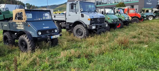 Mehrere Unimog stehen nebeneinander auf einer Wiese.