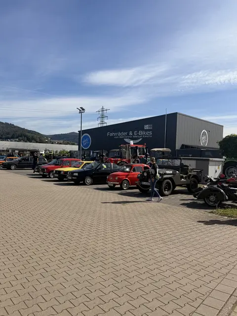 Reihe historischer Automobile auf gepflastertem Gelände, davor Besucher.