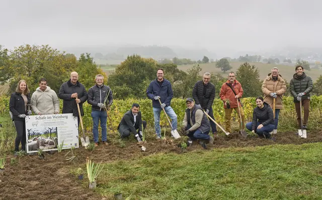 Bei der Pflanzaktion "Lebendiger Weinberg" halfen mit (v. l.): Jana Zehnle (Lammprinzessin), Schäfer Bernd Lehmann, Jürgen Mäder (Edeka Südwest), Martin Linser (Vizepräsident BLHV), Bürgermeister Andreas Heck, Christian Danner (Ortenauer Weinkeller), Winzer Bernd Hammes, Rainer Zeller (Badischer Weinbauverband), Winzer Martin Huber, Eva Schilling (Ortenauer Weinkeller) sowie Gerd Kohler und Dr. Maximilian Kohler (beide Edeka Kohler).  | Foto: Michael Bode 