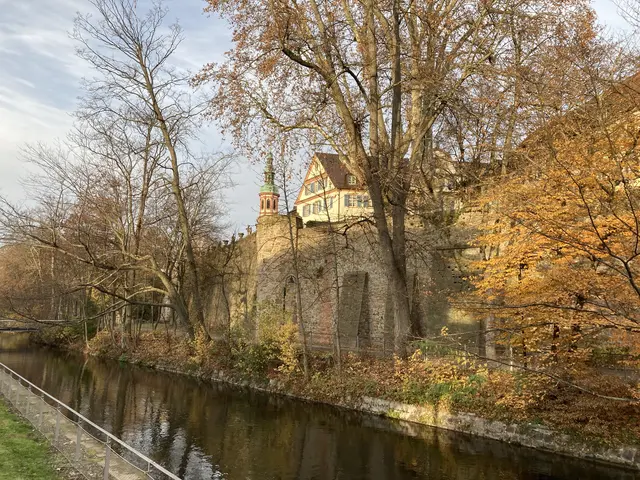 Die Offenburger Stadtmauer am Mühlbach | Foto: Symbolfoto: gro